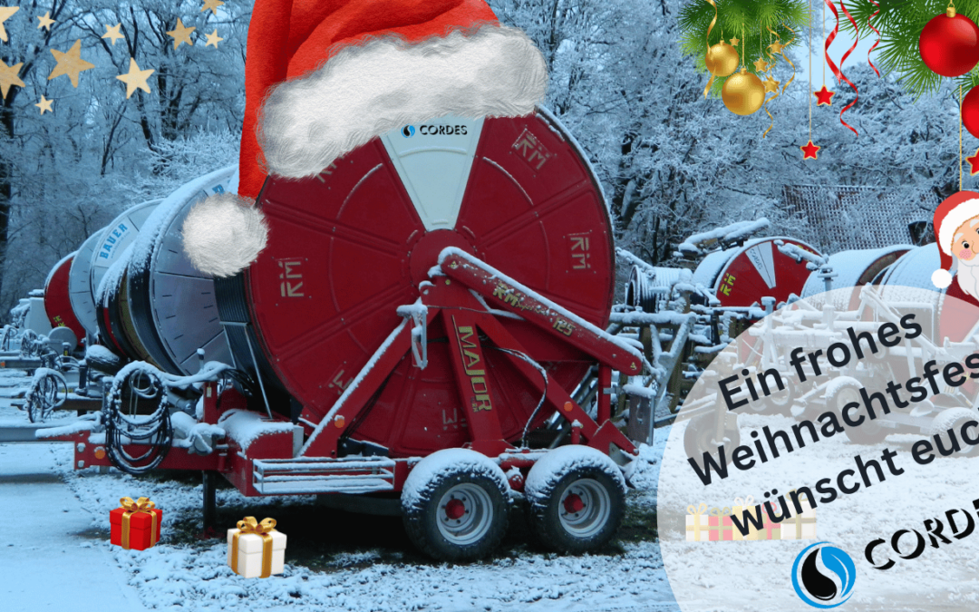 Frohe Weihnachten 2024 und einen guten Rutsch